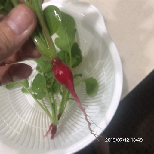 f:id:tk-strong:20190712215322j:image