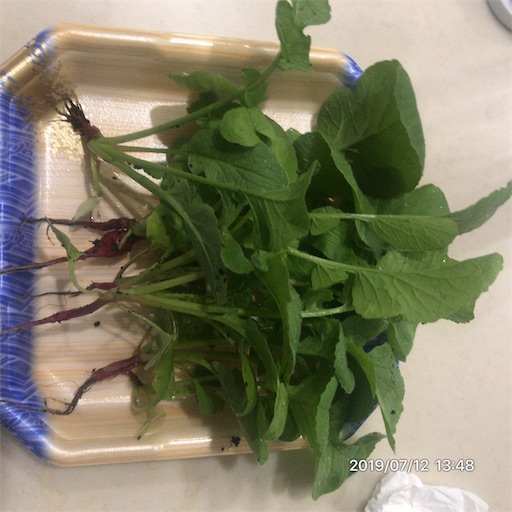 f:id:tk-strong:20190712215354j:image