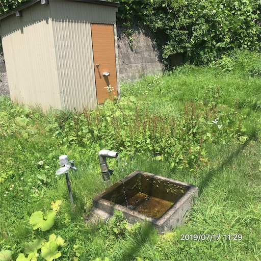 f:id:tk-strong:20190717214151j:image f:id:tk-strong:20190717214151j:image