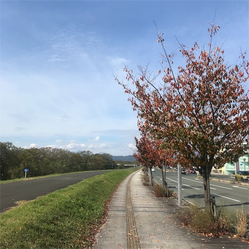 f:id:tk-strong:20191025220225j:image f:id:tk-strong:20191025220225j:image