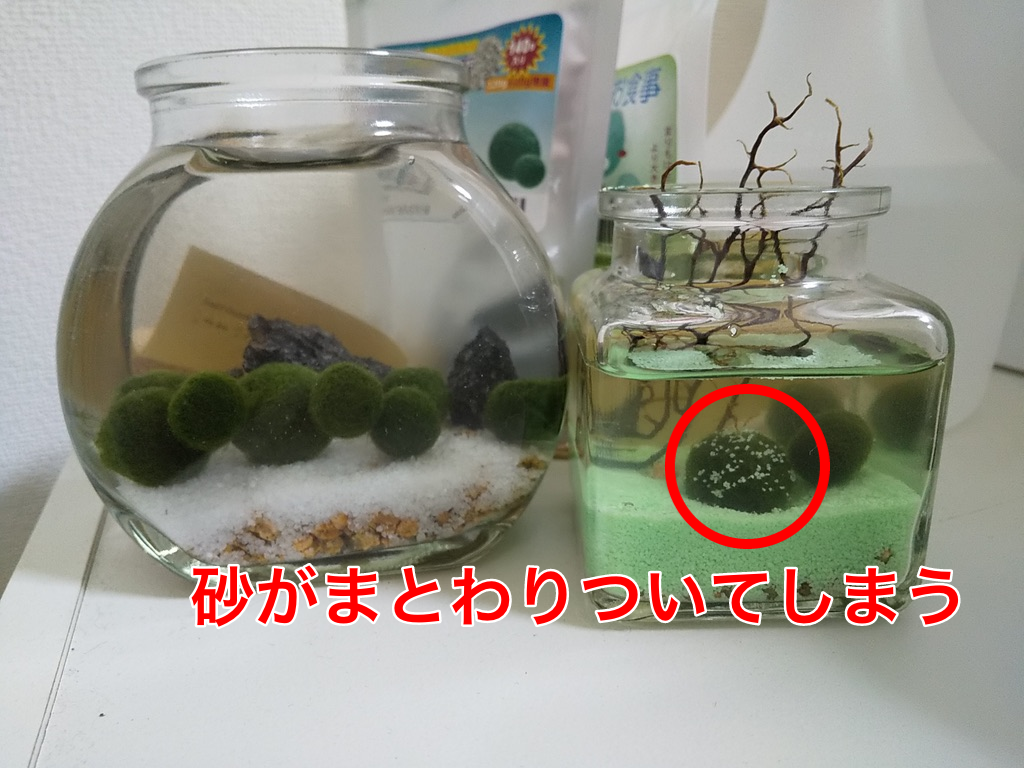 f:id:tk0137:20211027164553p:plain