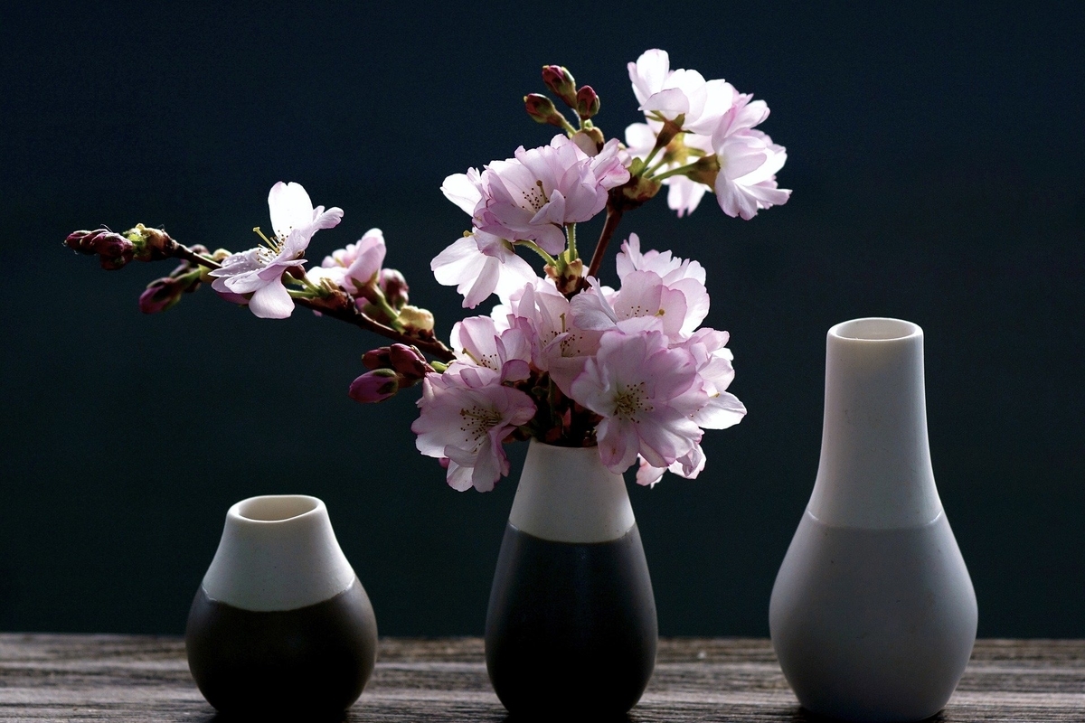f:id:tk1227inu:20200504181438j:plain