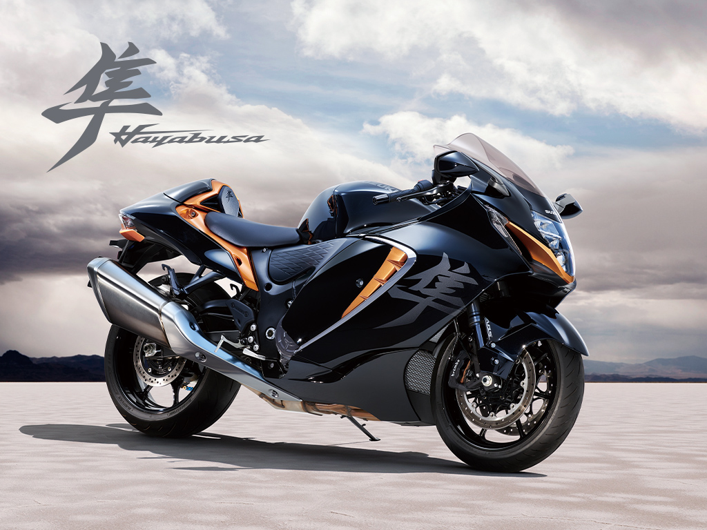 新型ハヤブサ用 Ridewin From Teamkagayama