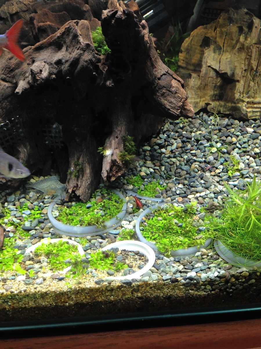 うもれちゃった おっちゃんあんちゃんの覚書