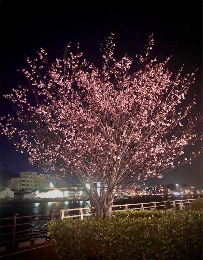 f:id:tkHoumu:20220313195310j:plain