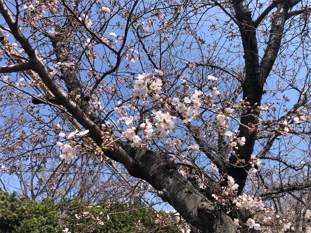 f:id:tkHoumu:20240401112736j:image f:id:tkHoumu:20240401112736j:image