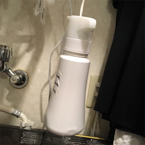 f:id:tk_e:20190615110830j:image f:id:tk_e:20190615110830j:image
