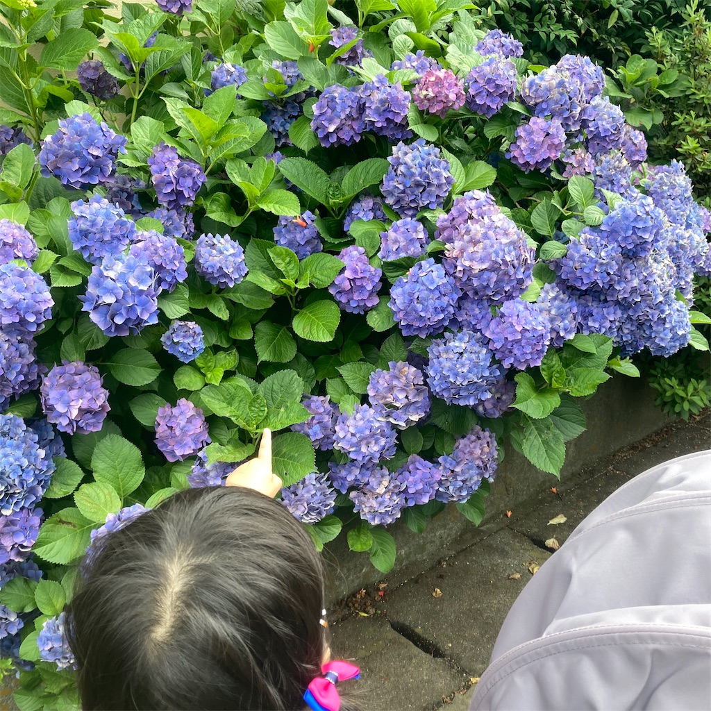 f:id:tk_e:20200621141922j:image