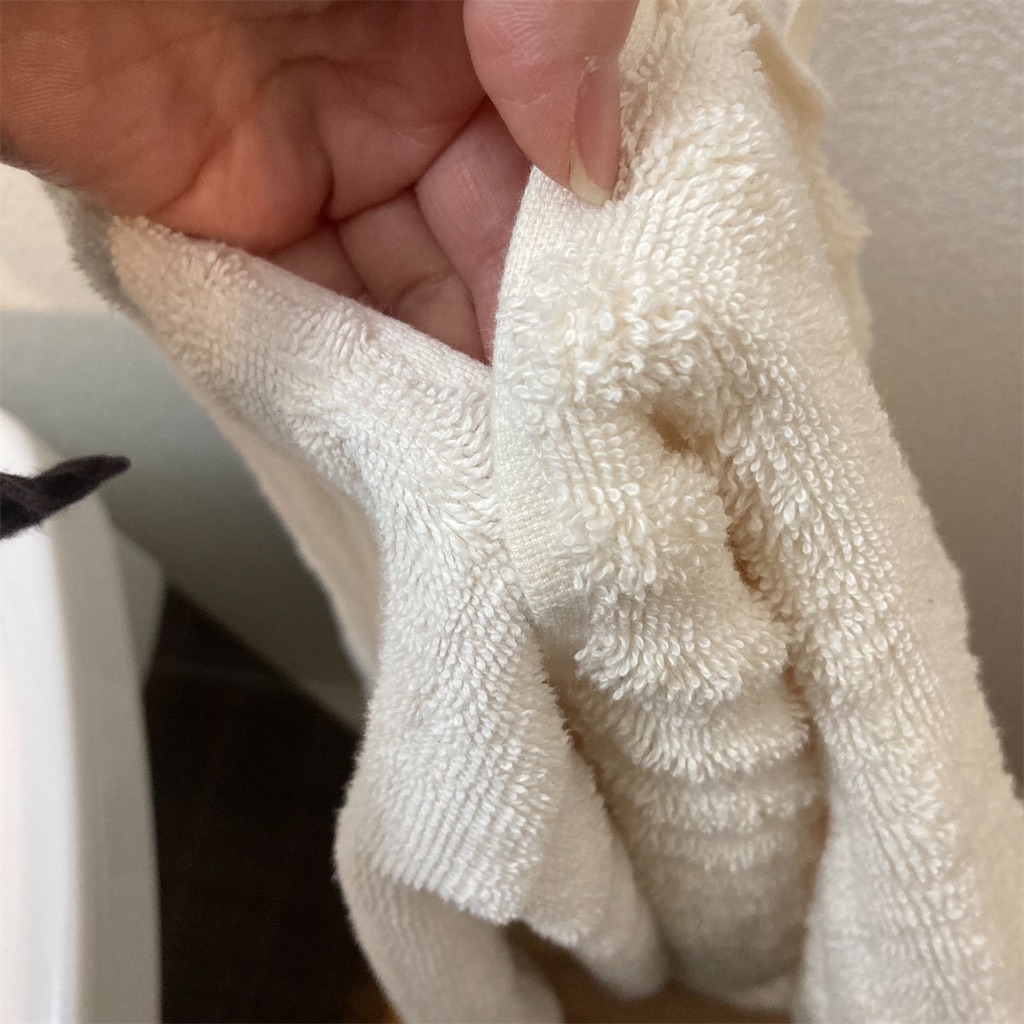 f:id:tk_e:20230109111118j:image