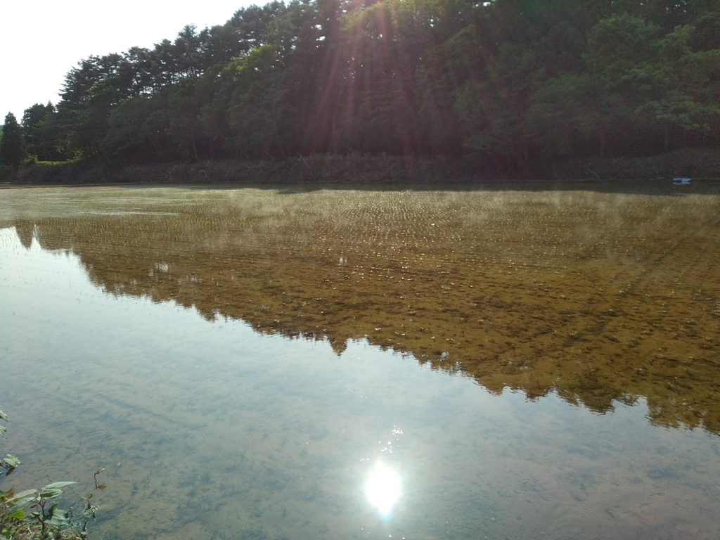 f:id:tk_maeda:20180604172046j:plain