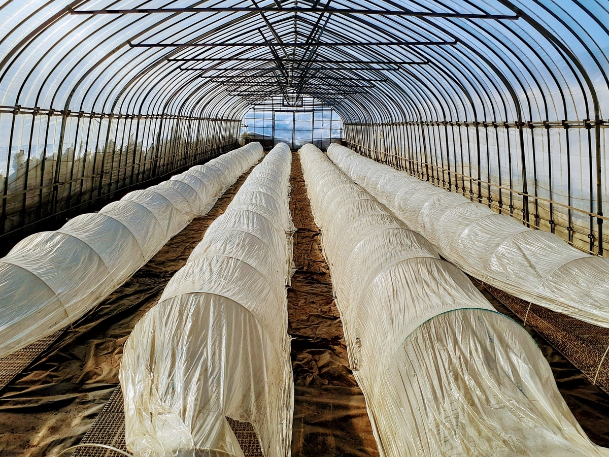 f:id:tk_maeda:20210212145657j:plain