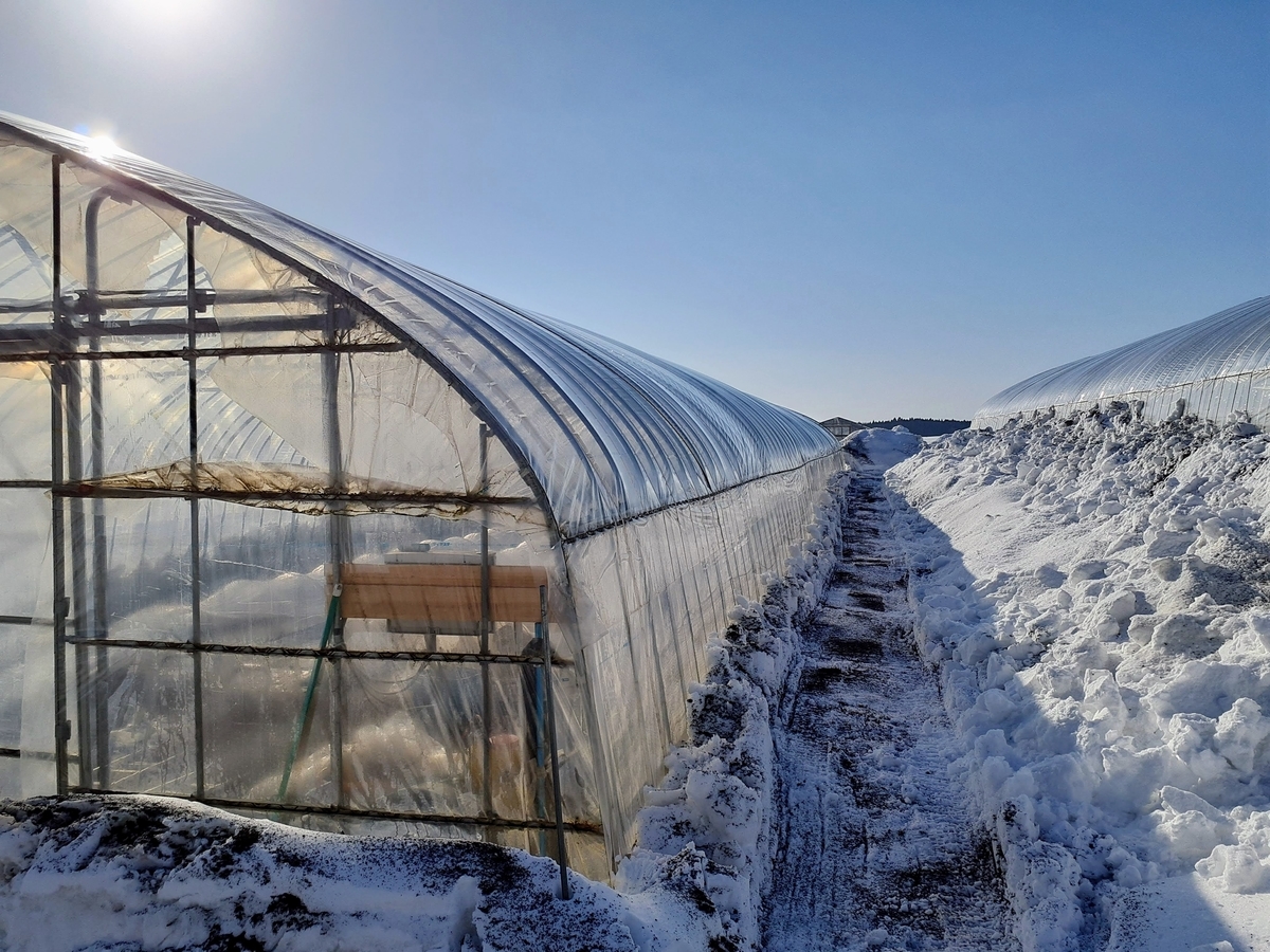 f:id:tk_maeda:20210212145718j:plain