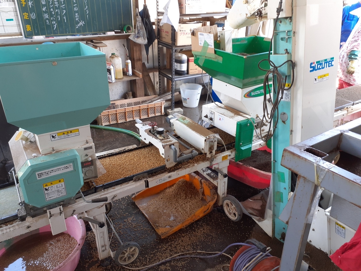 種籾播種作業 播種機潅水装置トラブル - 農事組合法人 青森マエダライス
