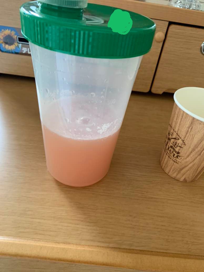 f:id:tk_marupo:20210825131301j:plain