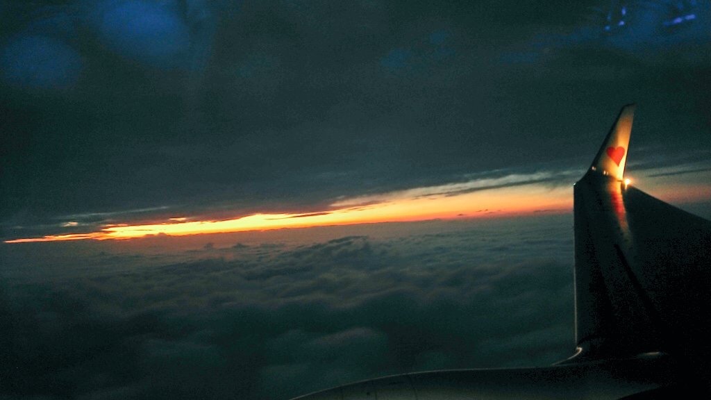 f:id:tk_tkhd:20201001155135j:plain