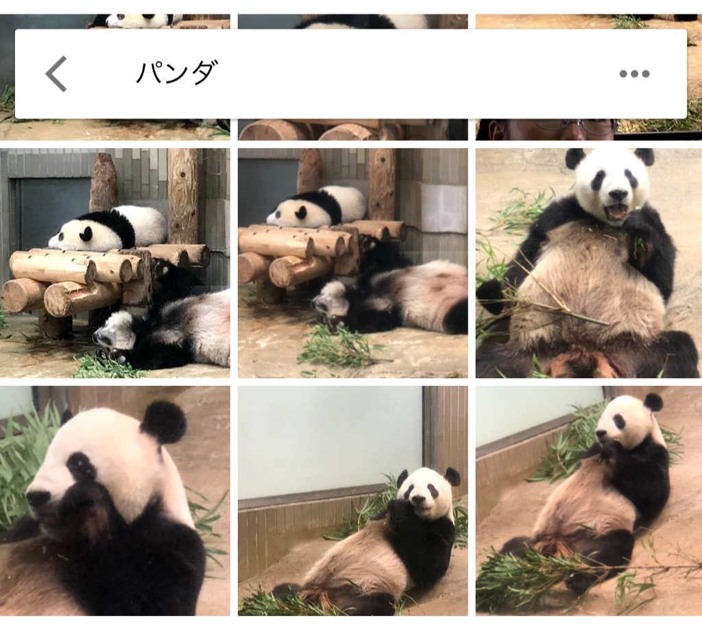 f:id:tkan1111:20180909151025j:plain