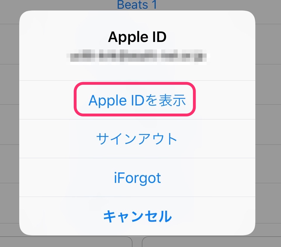 f:id:tkan1111:20190607094047j:plain f:id:tkan1111:20190607094047j:plain