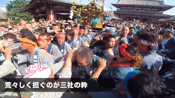 浅草三社祭 神輿の先頭はケンカ必至 江戸の 粋 を担いだ ワッショイ黄太郎 週末お祭りハンター 浅草三社祭 神輿の先頭はケンカ必至 江戸の 粋 を担いだ ワッショイ黄太郎 週末お祭りハンター