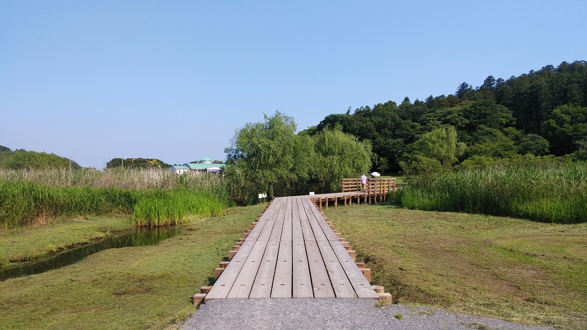 f:id:tkcgs119:20190620220532j:plain