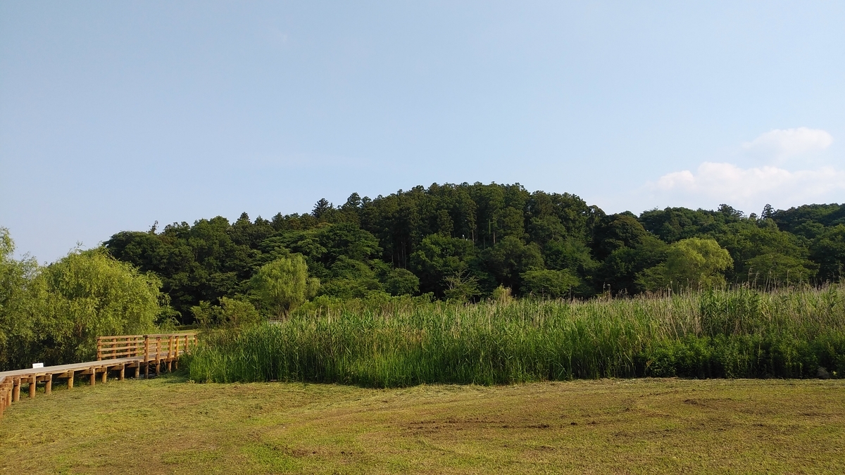 f:id:tkcgs119:20190620220821j:plain