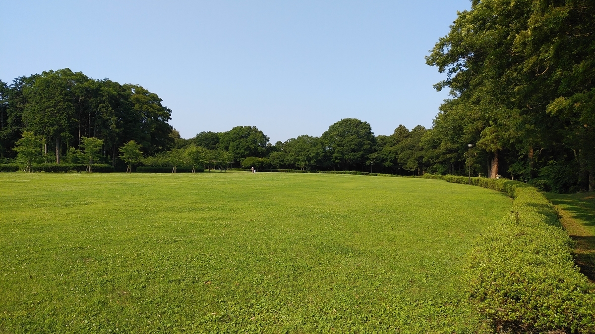 f:id:tkcgs119:20190620221015j:plain