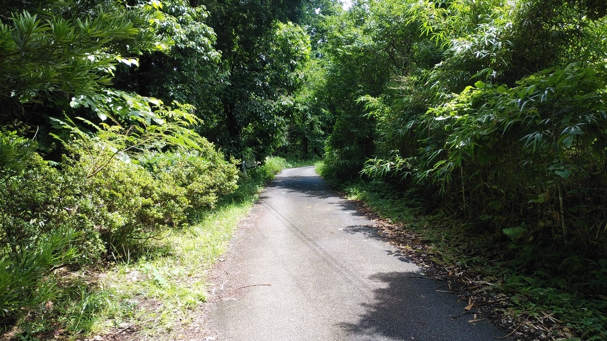 f:id:tkcgs119:20190730192356j:plain f:id:tkcgs119:20190730192356j:plain