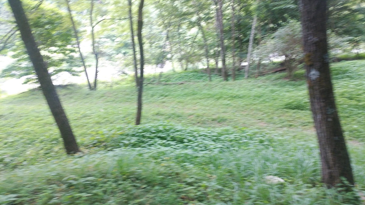 f:id:tkcgs119:20190821120420j:plain f:id:tkcgs119:20190821120420j:plain