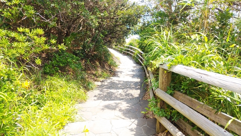f:id:tkcgs119:20190825230123j:plain f:id:tkcgs119:20190825230123j:plain