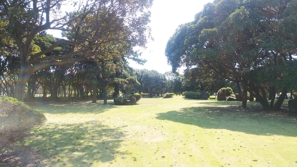 f:id:tkcgs119:20190827190249j:plain
