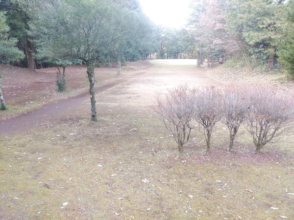 ソロキャン アスパイアの森 完ソロで怯える 座 テント ソロキャンと登山