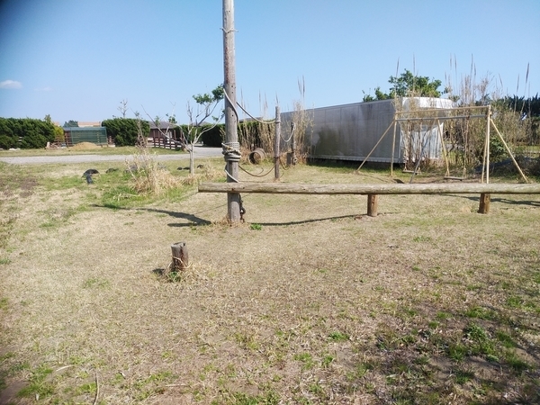 太陽と海九十九里オートキャンプ場