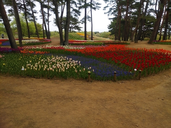 ひたち海浜公園