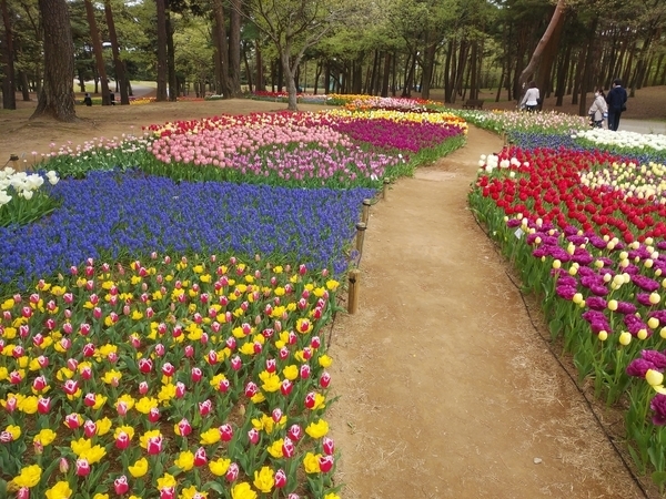 ひたち海浜公園