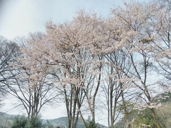 八千代グリーンビレッジ