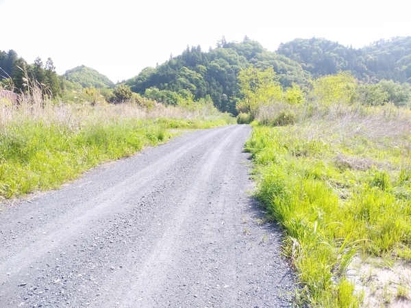 上小川キャンプ場