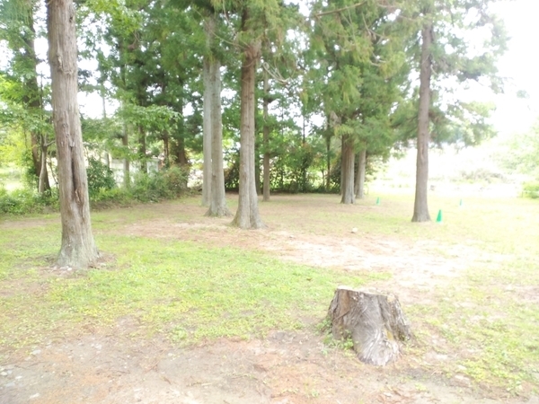 上小川キャンプ場