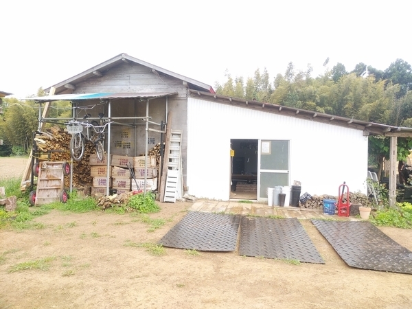 潮来campsite
