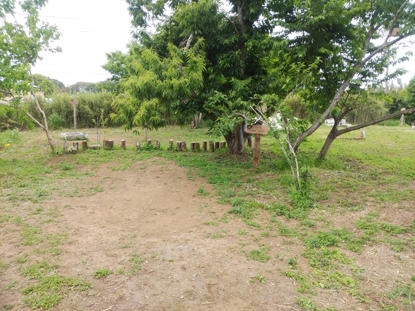潮来campsite