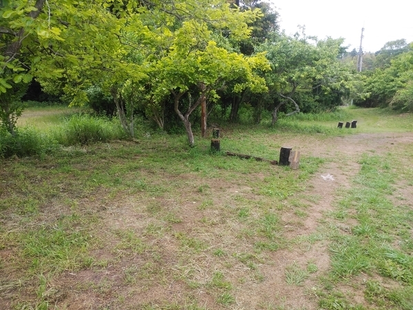 潮来campsite