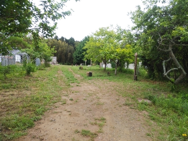 潮来campsite