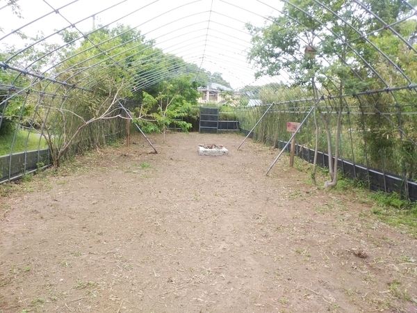 潮来campsite