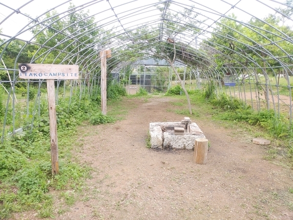 潮来campsite
