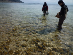 f:id:tkfm-nkzw:20120326100243j:image:left f:id:tkfm-nkzw:20120326100243j:image:left