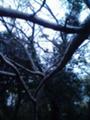 080203-01