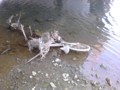 20110327104217