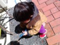 20110327120037