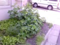 20110508111046