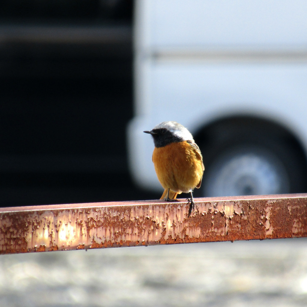 f:id:tkfms:20170827234412j:plain