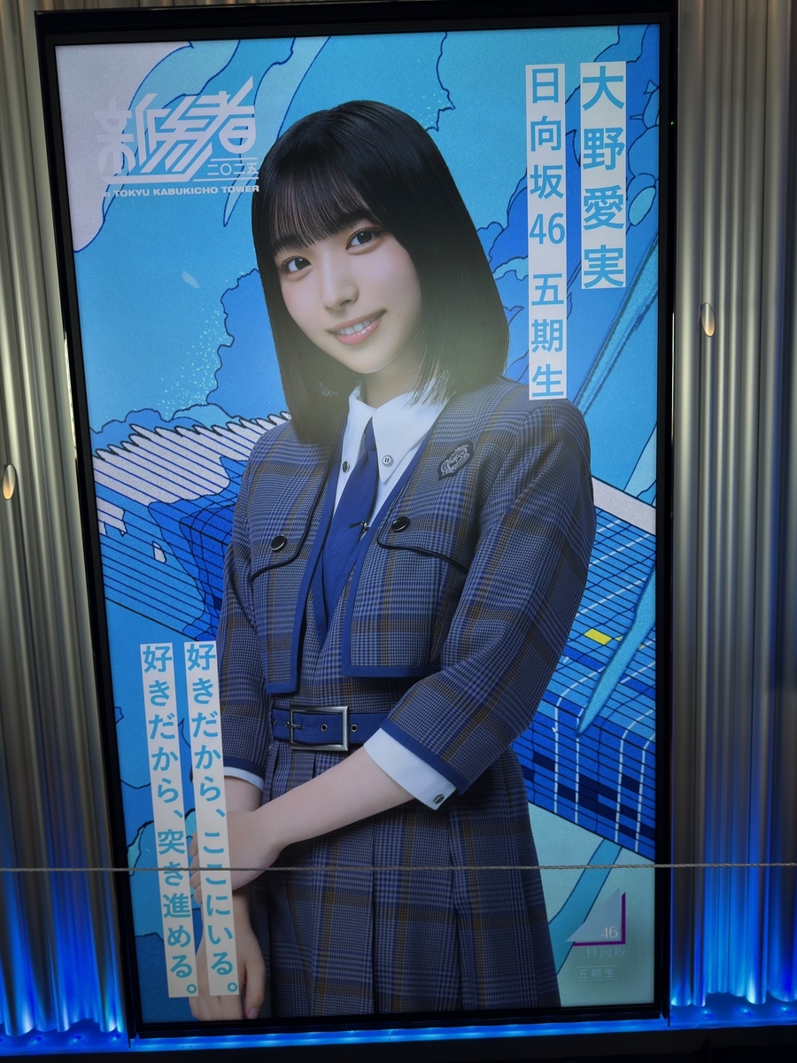 日向坂46 四期生 新参者 アクリルスタンド 11個セット 日向坂46 四期生 新参者 アクリルスタンド 11個セット 日向坂46 新参
