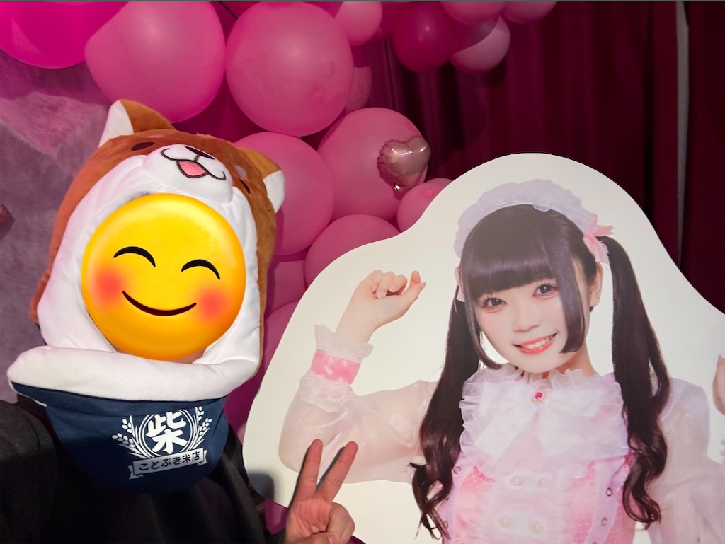 f:id:tkgtij:20241209174621j:image